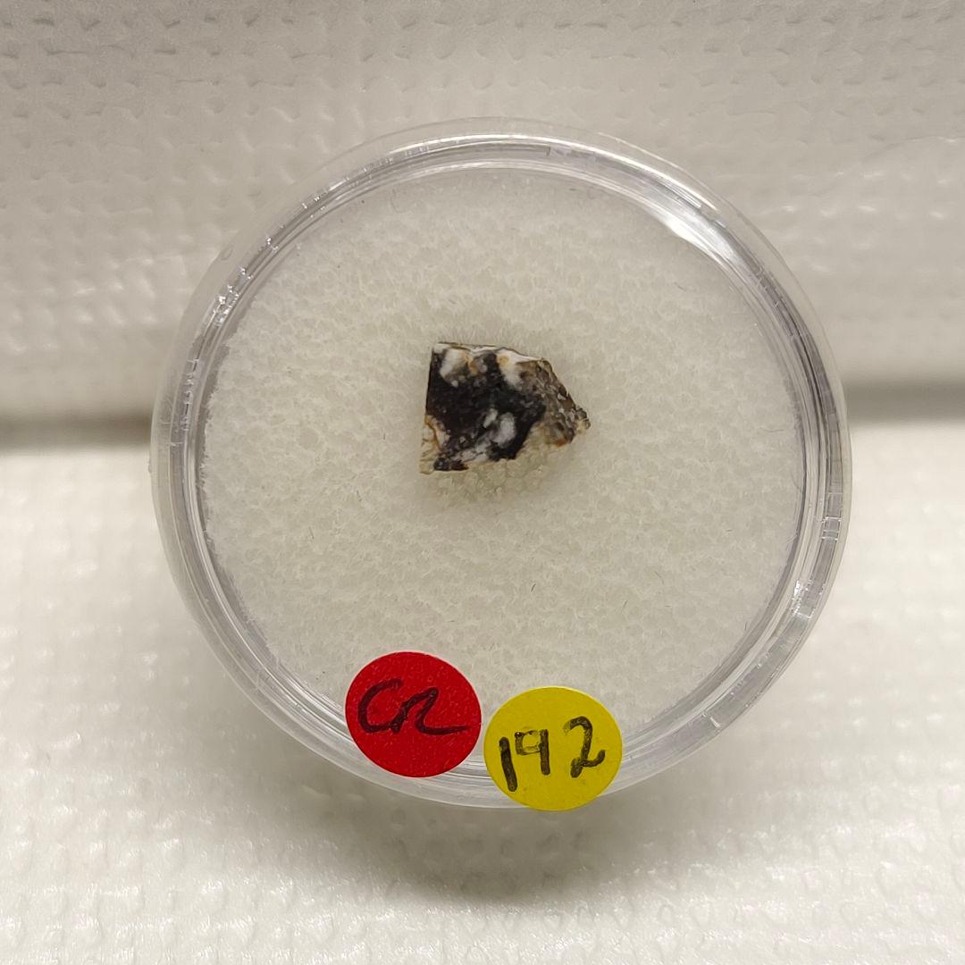 月隕石 NWA5000 192mg アダムホープ氏サインカード付き NO.217