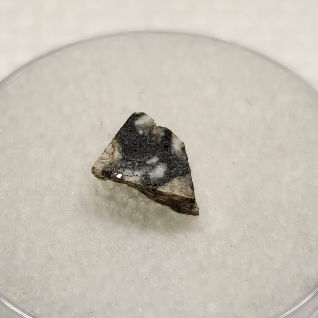 月隕石 NWA5000 192mg アダムホープ氏サインカード付き NO.217