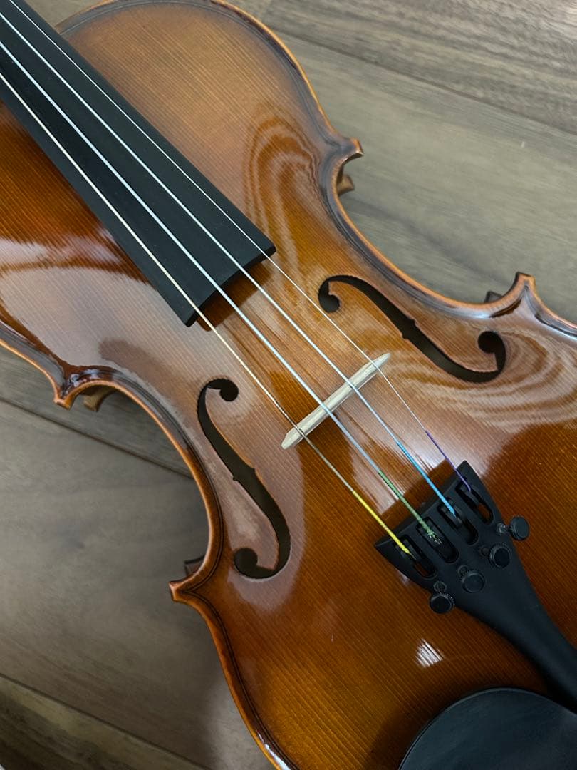 Reghin バイオリン　1/2