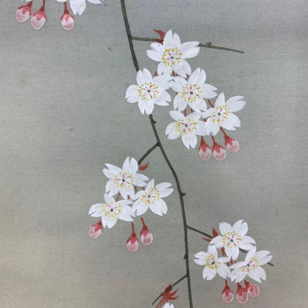掛軸 夜桜 共箱 春 花 季節