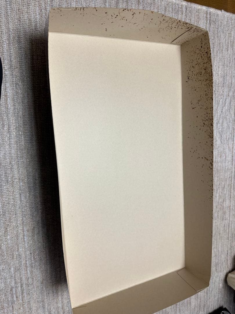 未使用 パーフェクトグレード PG エヴァンゲリオン