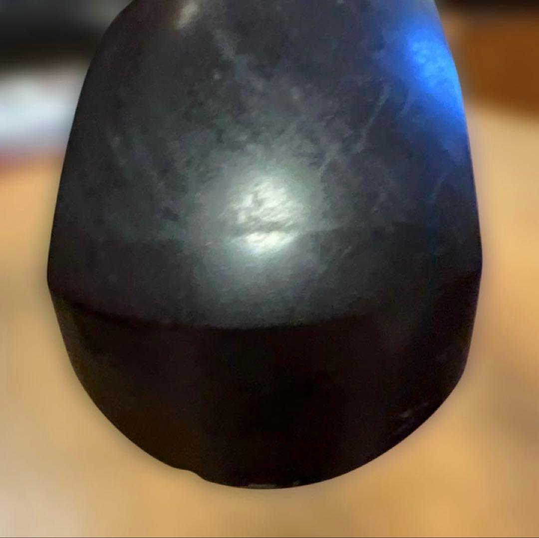 三味線 本体 専用ケース楽譜付き　バチおまけ