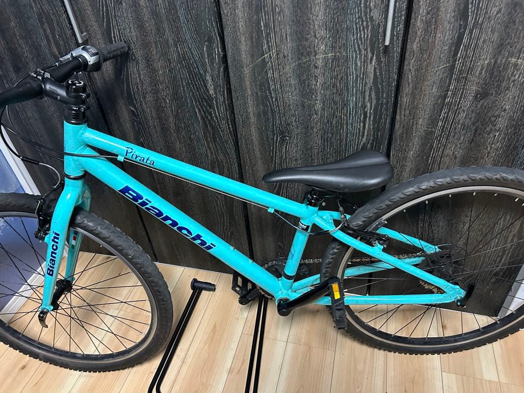 自転車本体 mikan