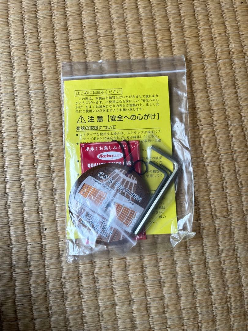 Fujigen グレー エレキギター ストラトキャスタータイプ