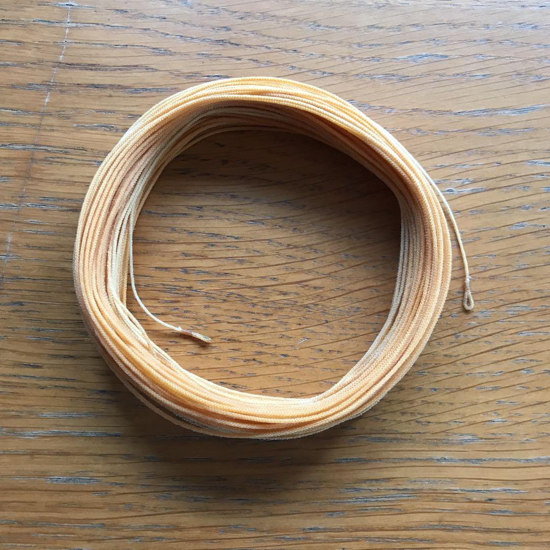 釣り仕掛け・仕掛け用品 Phoenix Silk Line DT5