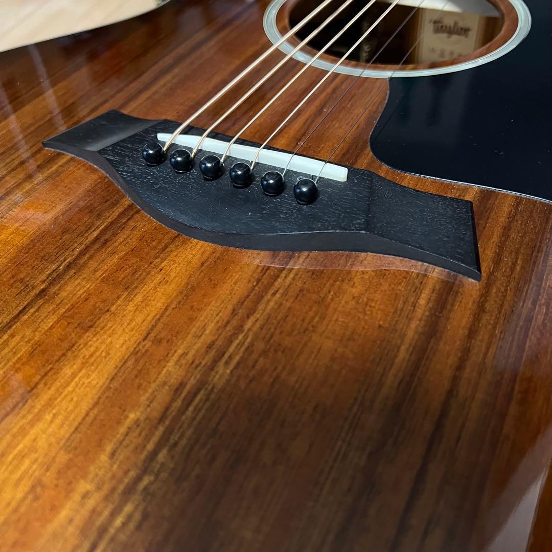 Taylor 224ce-K DLX ES2搭載 コア材 テイラー エレアコ