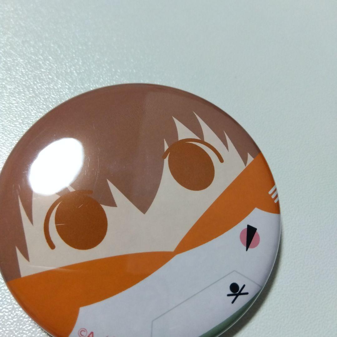 【REBORN!】沢田綱吉 ツナ たまっぷ 缶バッジコレクション リボーン