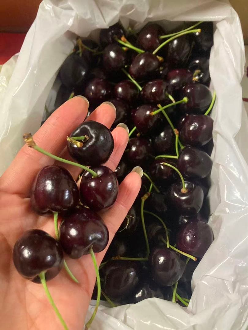 155.チリ産新鮮さくらんぼ　チェリー 箱込み2kg常温発送贈答用OR家庭用