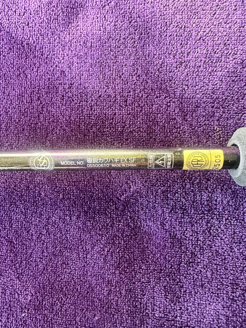 ダイワ極鋭EX SF