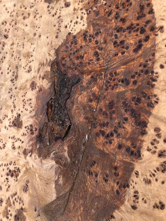 青森ヒバ　うずら模様　1枚板　こぶ板