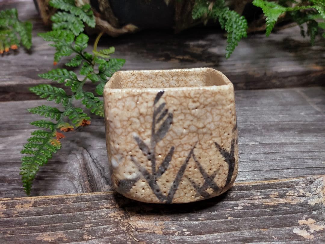 ♥絵志野　ぐい呑み　桐箱付き　⑳　志野　ぐい飲み　骨董品