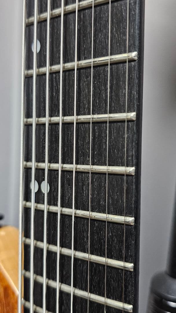 Inyen Vina 8弦ギター　ファンフレット