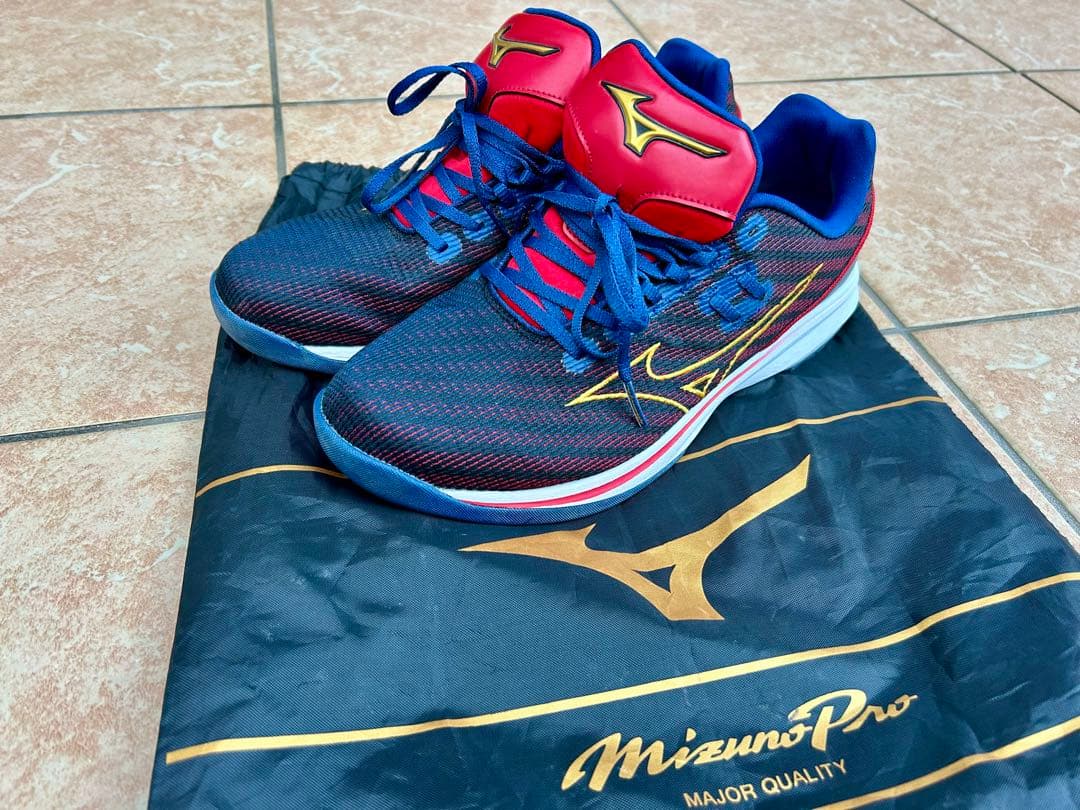 【値下げ】ミズノプロ　ウェーブライトレボランプロ　WBC限定色25.5㎝