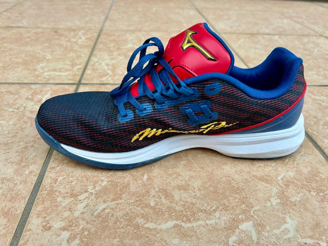 【値下げ】ミズノプロ　ウェーブライトレボランプロ　WBC限定色25.5㎝