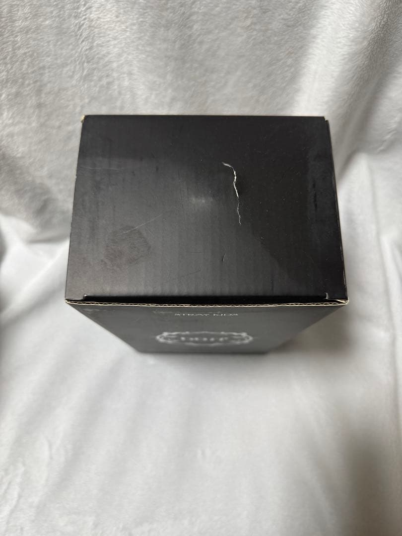 StrayKids スキズ　タンブラー　ジニレット