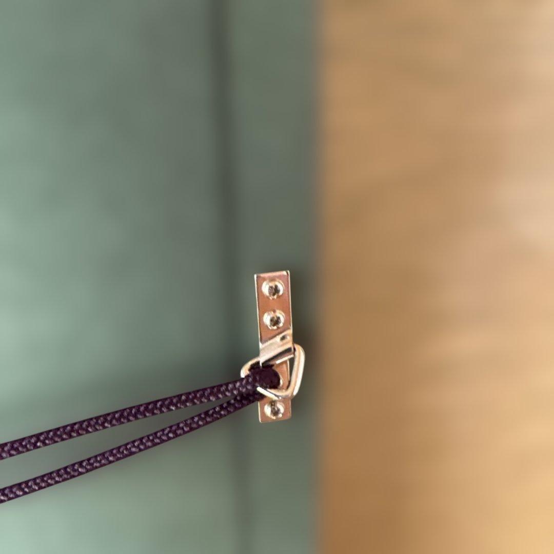 絵画　月下美人　　⚠️素人画