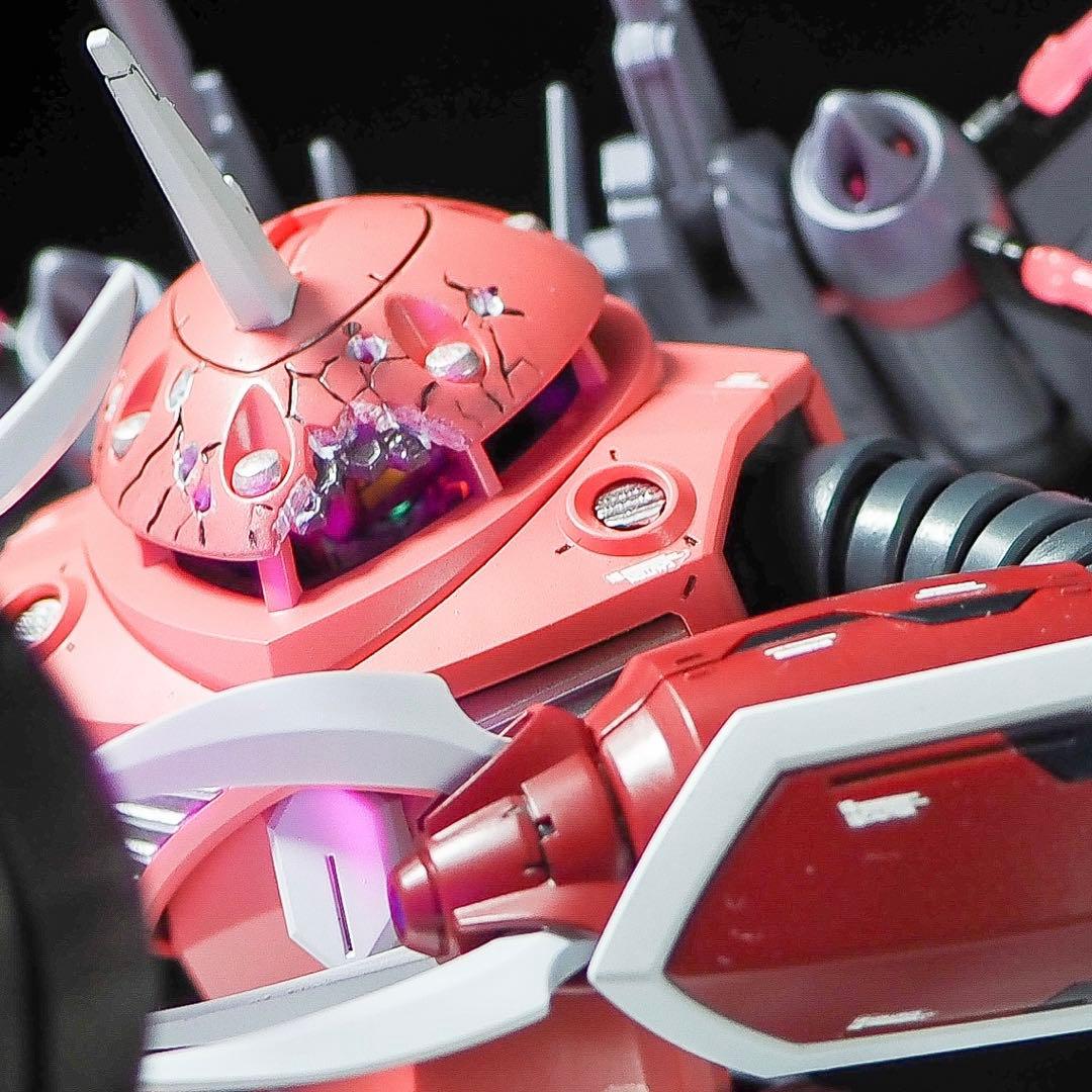 HG 1/144 ズゴック 筋彫り　塗り分け追加　全塗装　完成品