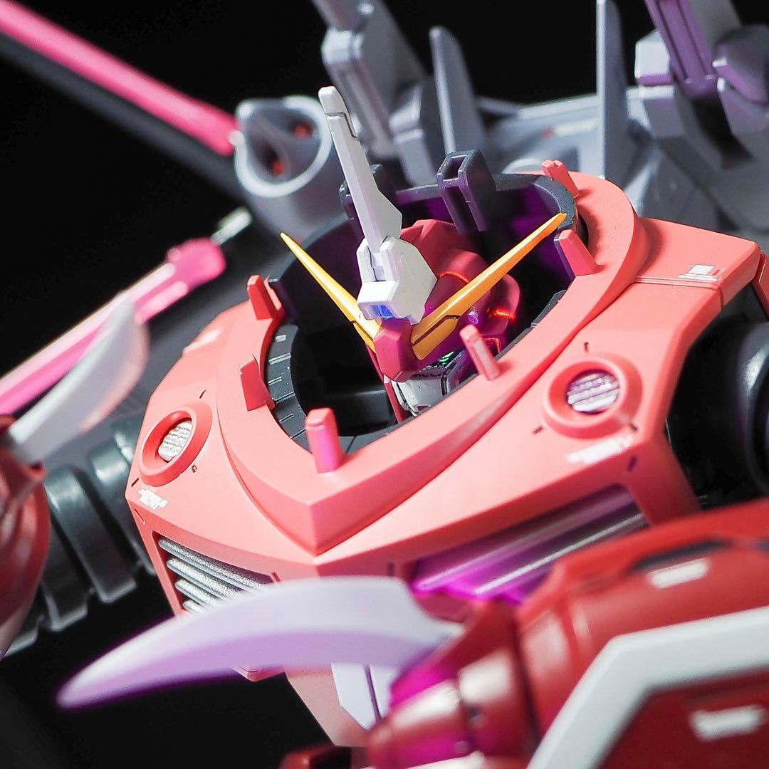 HG 1/144 ズゴック 筋彫り　塗り分け追加　全塗装　完成品