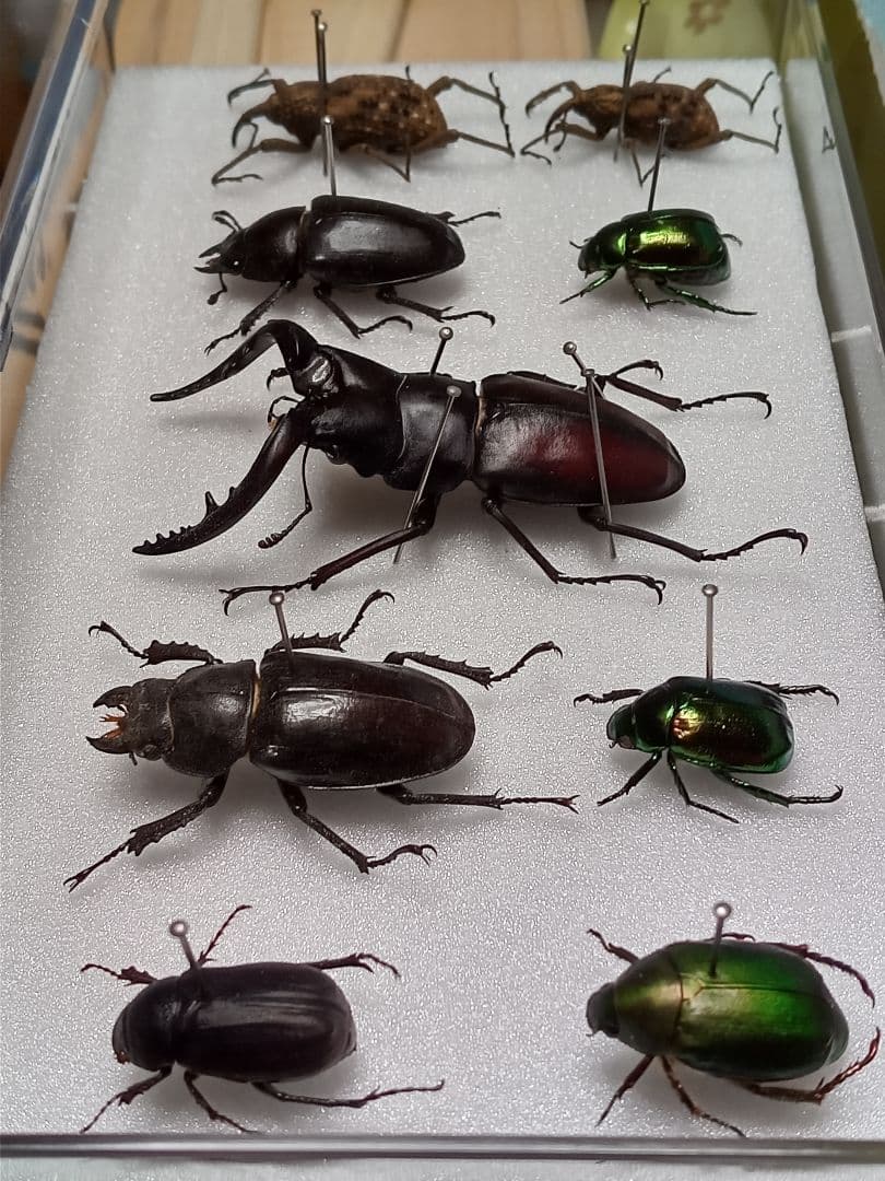 専用。4点まとめ買い商品。