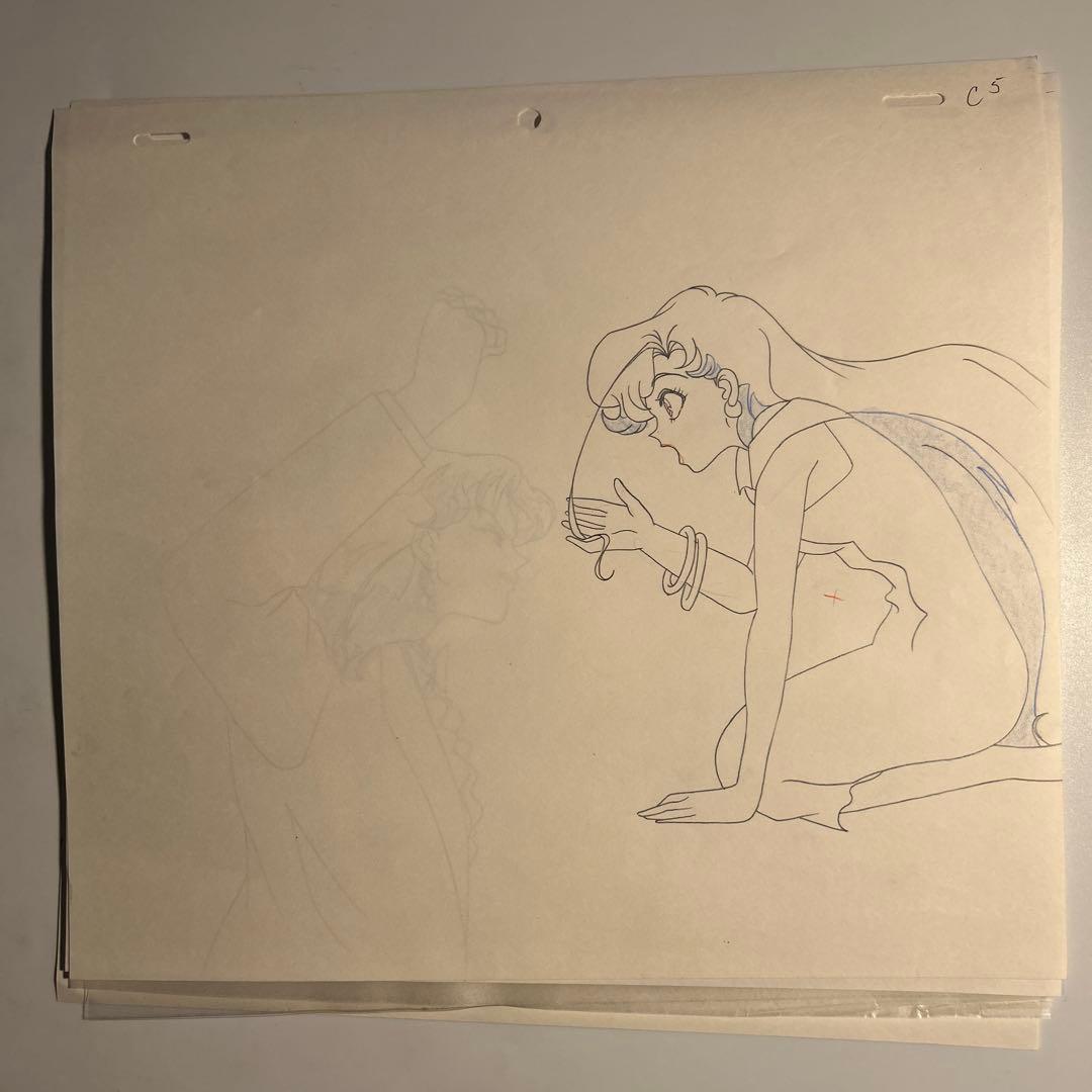 武内直子「美少女戦士セーラームーンsセル画＋動画2枚フィッシュアイタイガーズアイ