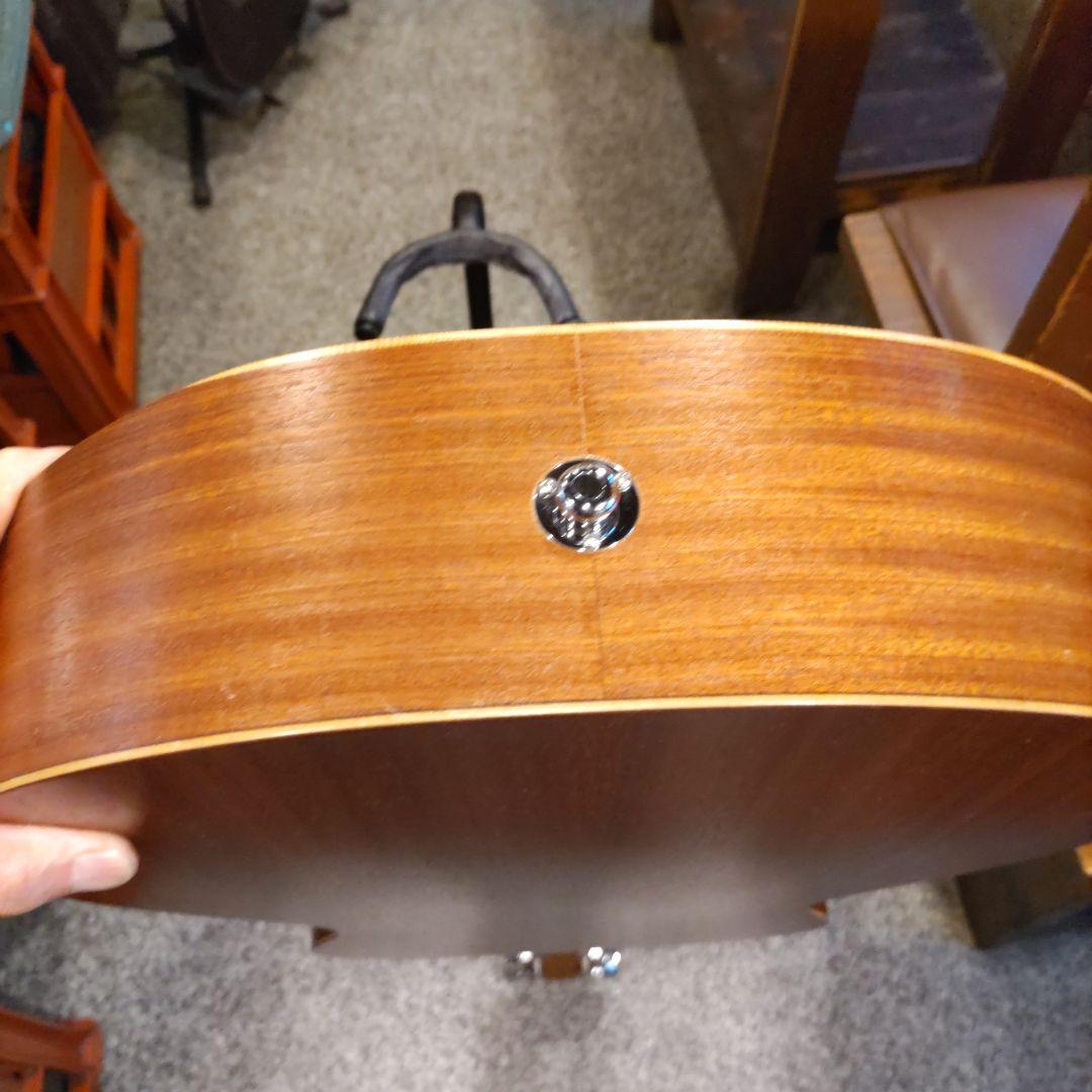 Taylor Academy 12e エレアコ (ヒカ)