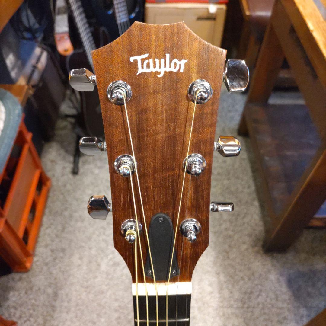 Taylor Academy 12e エレアコ (ヒカ)