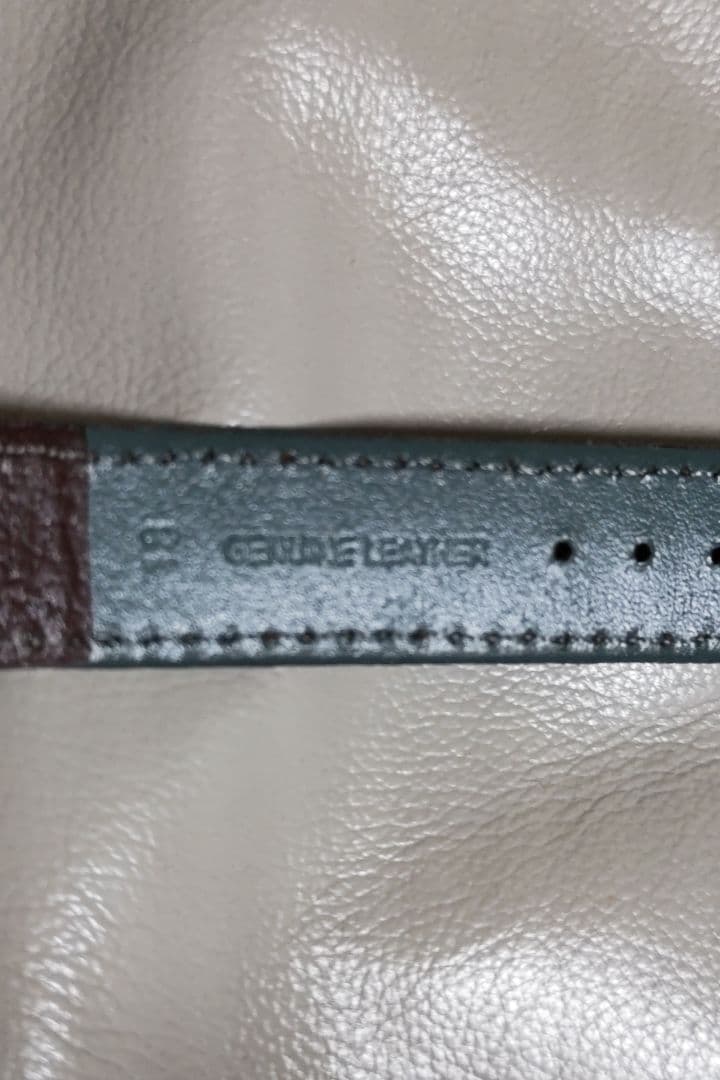 コレクション RECORD WATCH GENEVE