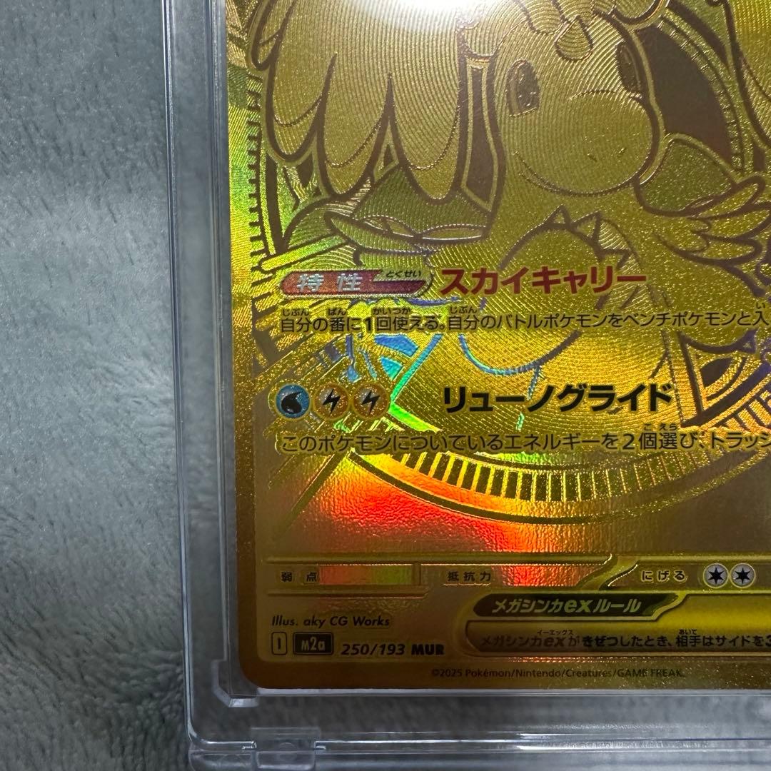 ふ*ぷ様 メガカイリューEX、MUR