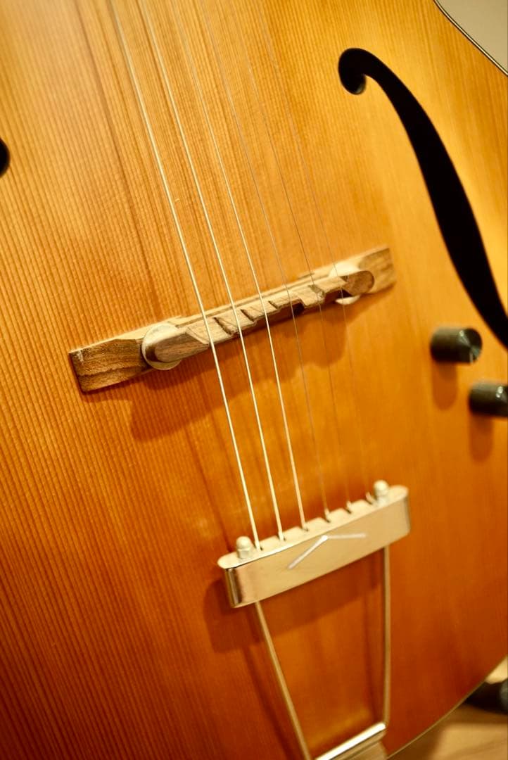 Furch A17-40 フォルヒ フルアコ アーチトップギター