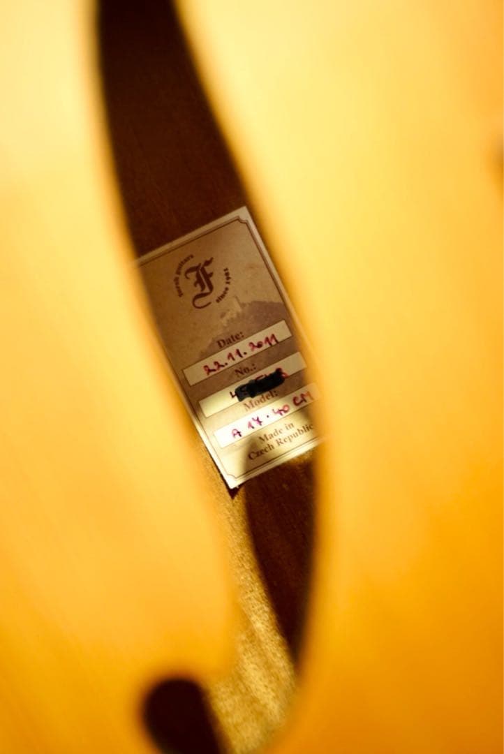 Furch A17-40 フォルヒ フルアコ アーチトップギター