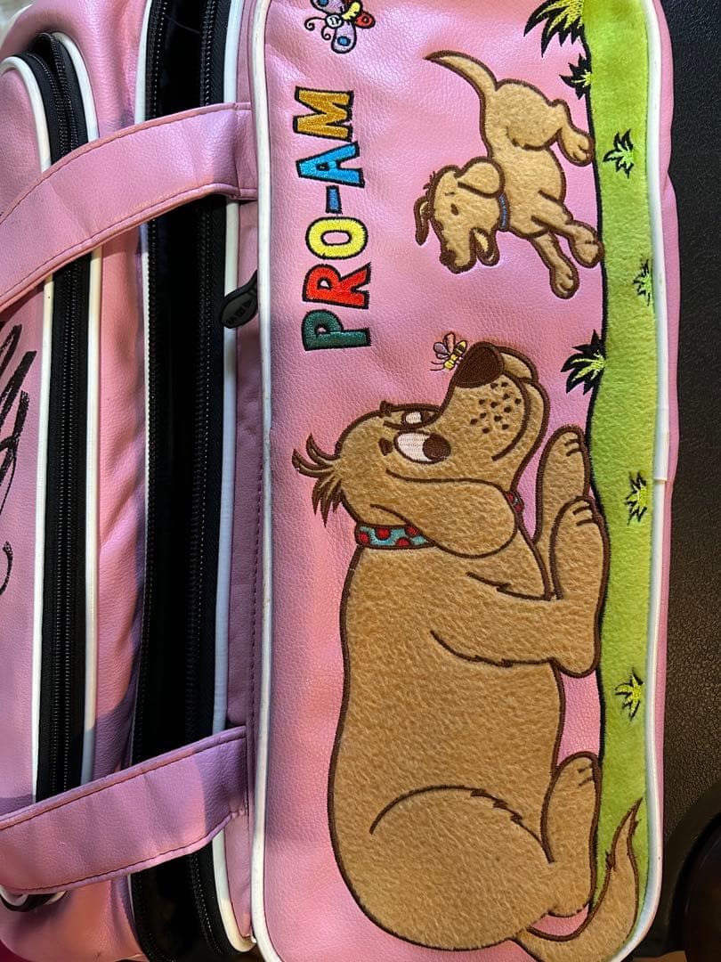 ABSボーリングキャリーバッグと付属品　中古品