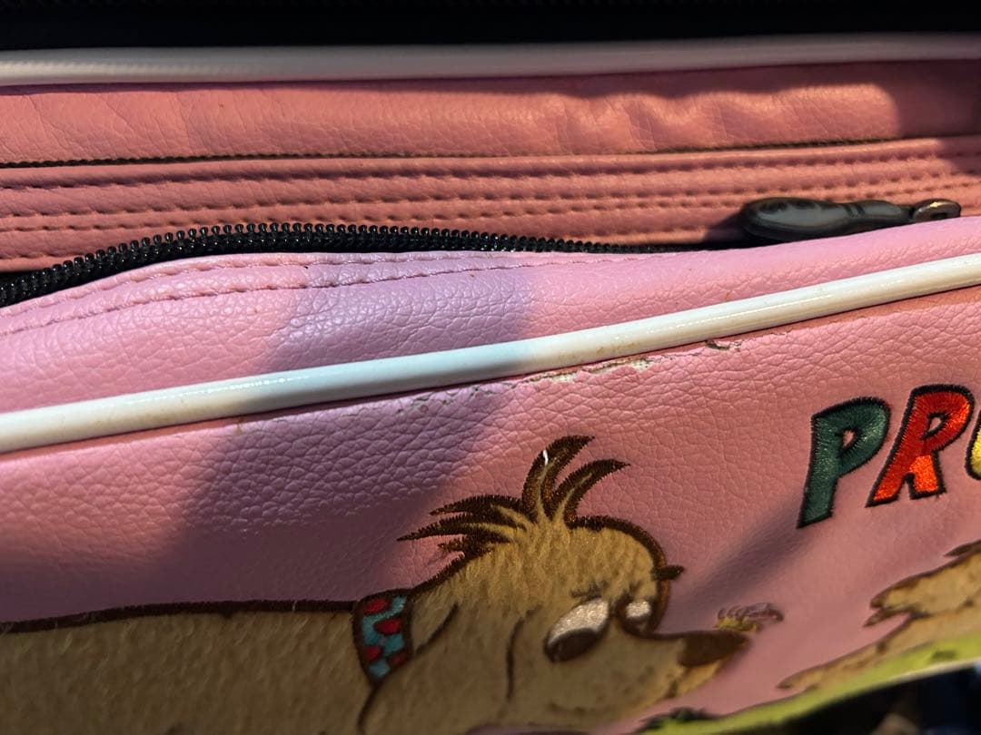 ABSボーリングキャリーバッグと付属品　中古品