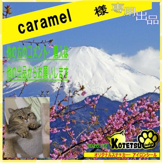 caramelさま　専用