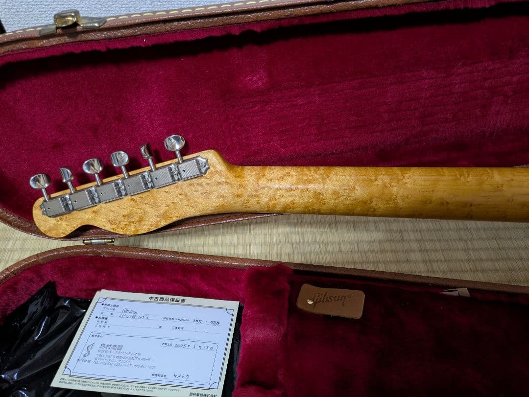 ギター k.nyui custom guitars knte gold back