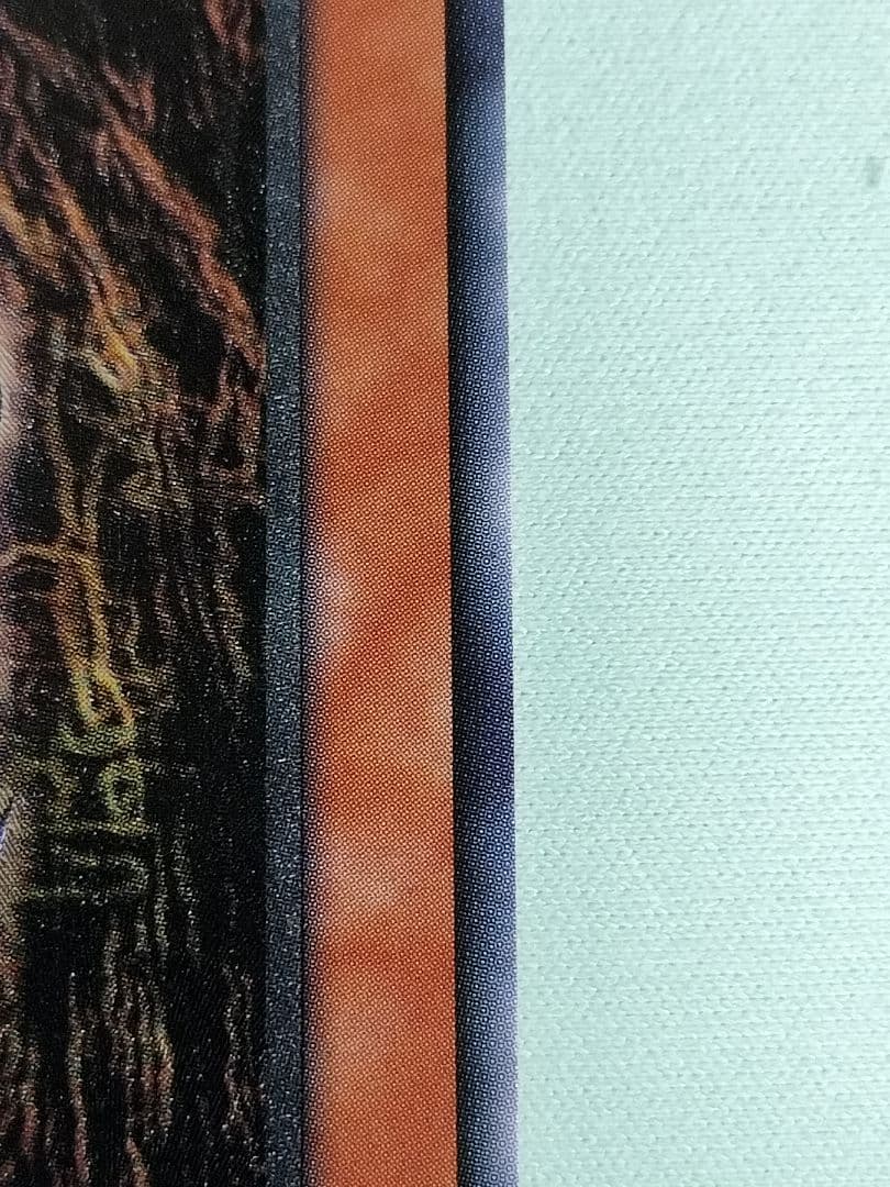 値下げーーー！１軍コレ『とても極美品』ダークネクロフィア　レリーフ