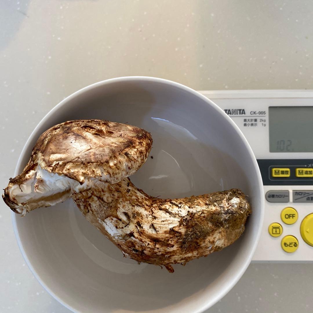 長野県 豊丘村産　松茸　292g 一部虫食い損傷有り