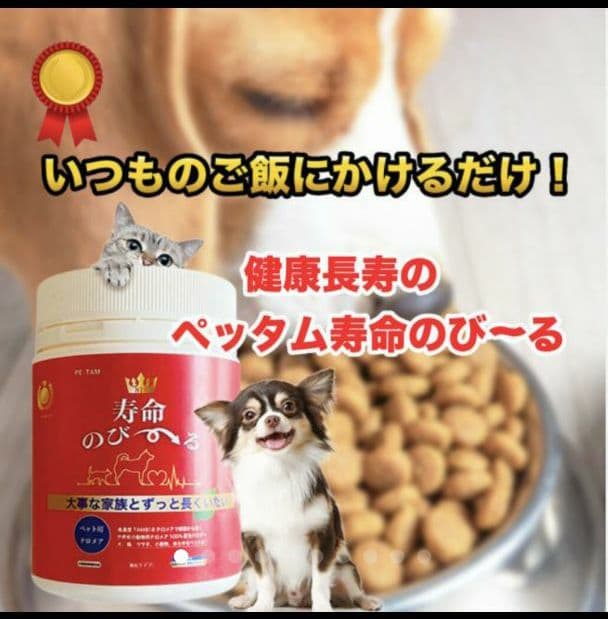 世界初！日本先行販売　ペット用テロメアのサプリ　普段のご飯に混ぜるだけ　1缶