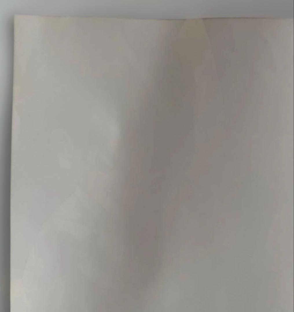 【未使用品】デュエルマスターズTCG拡張パック第1弾DM-01宣伝用A2ポスター