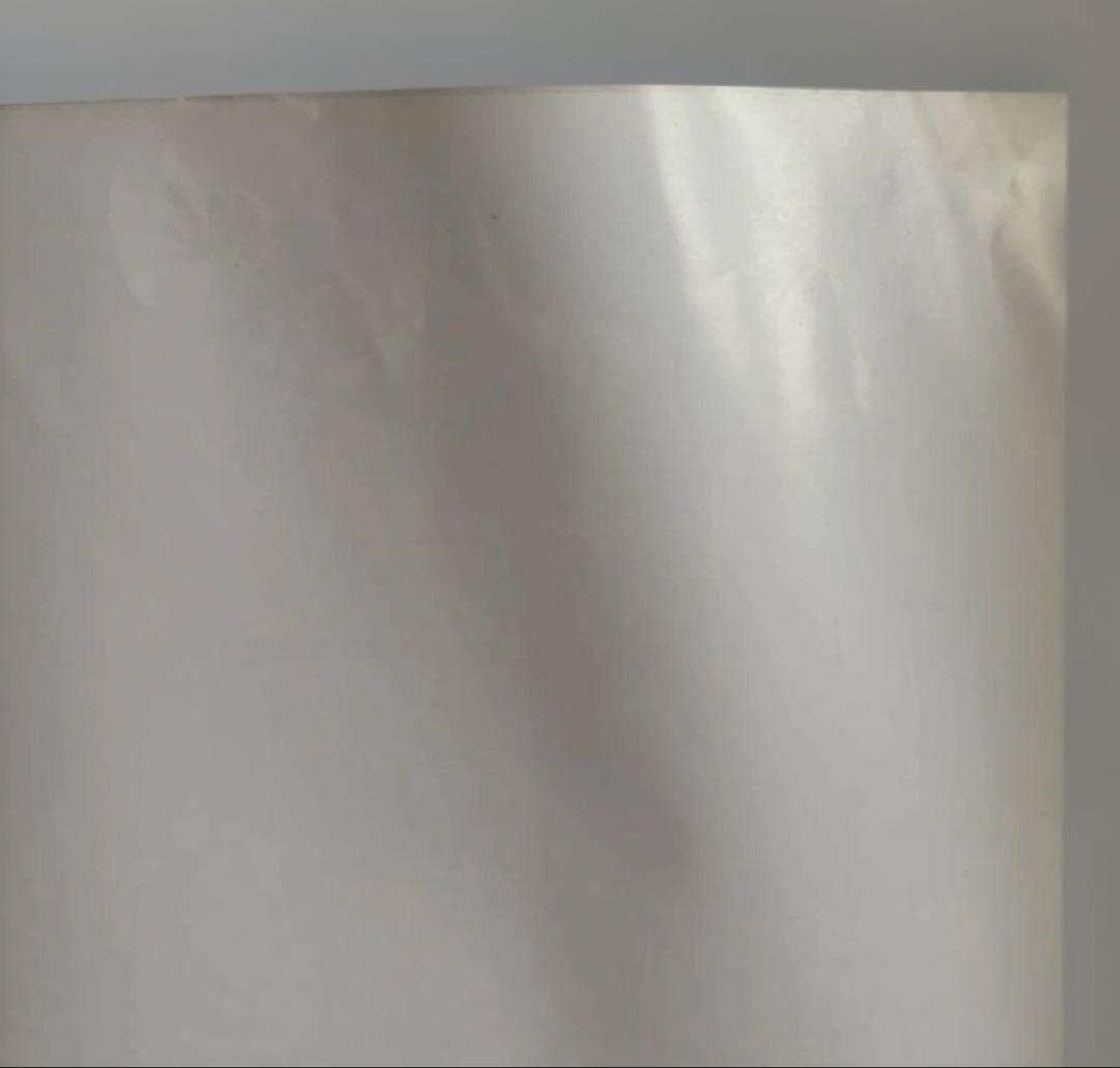 【未使用品】デュエルマスターズTCG拡張パック第1弾DM-01宣伝用A2ポスター