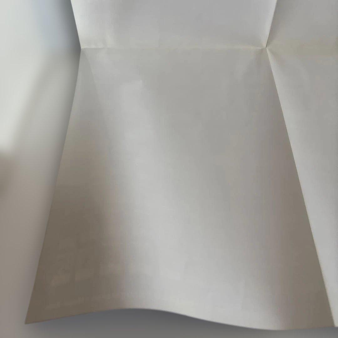 【未使用品】デュエルマスターズTCG拡張パック第1弾DM-01宣伝用A2ポスター