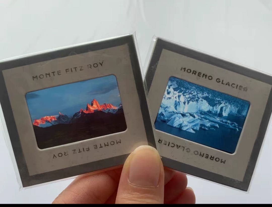 【特典付き】リバース：1999 レコード　復楽園　プレミアムボックス⑤