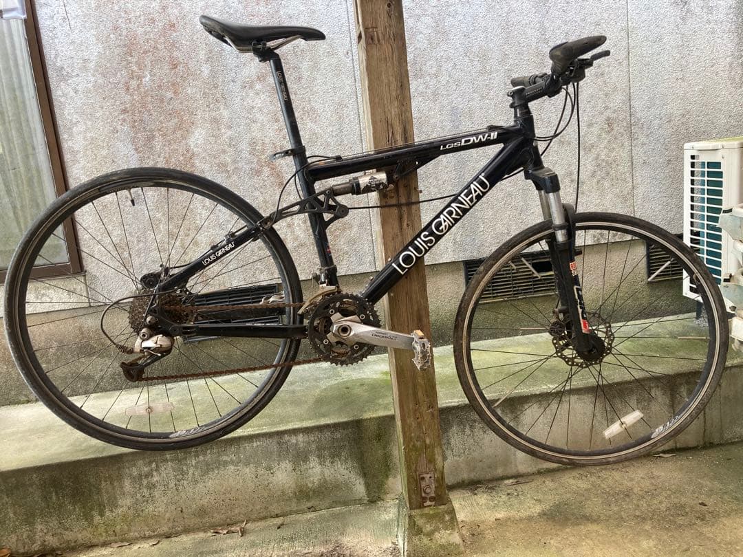 ルイガノ　DW2 430