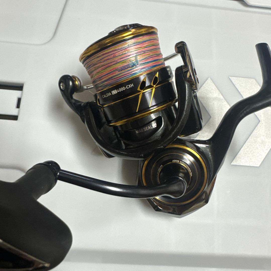 【値下げ】21カルディア　4000-cxh