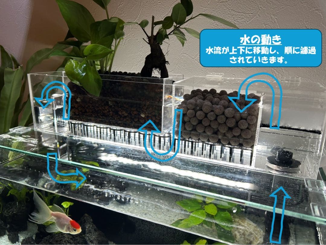 上部濾過槽＋ガラス水槽セット　アクアリウム水槽アクアポニックス仕様上部フィルター