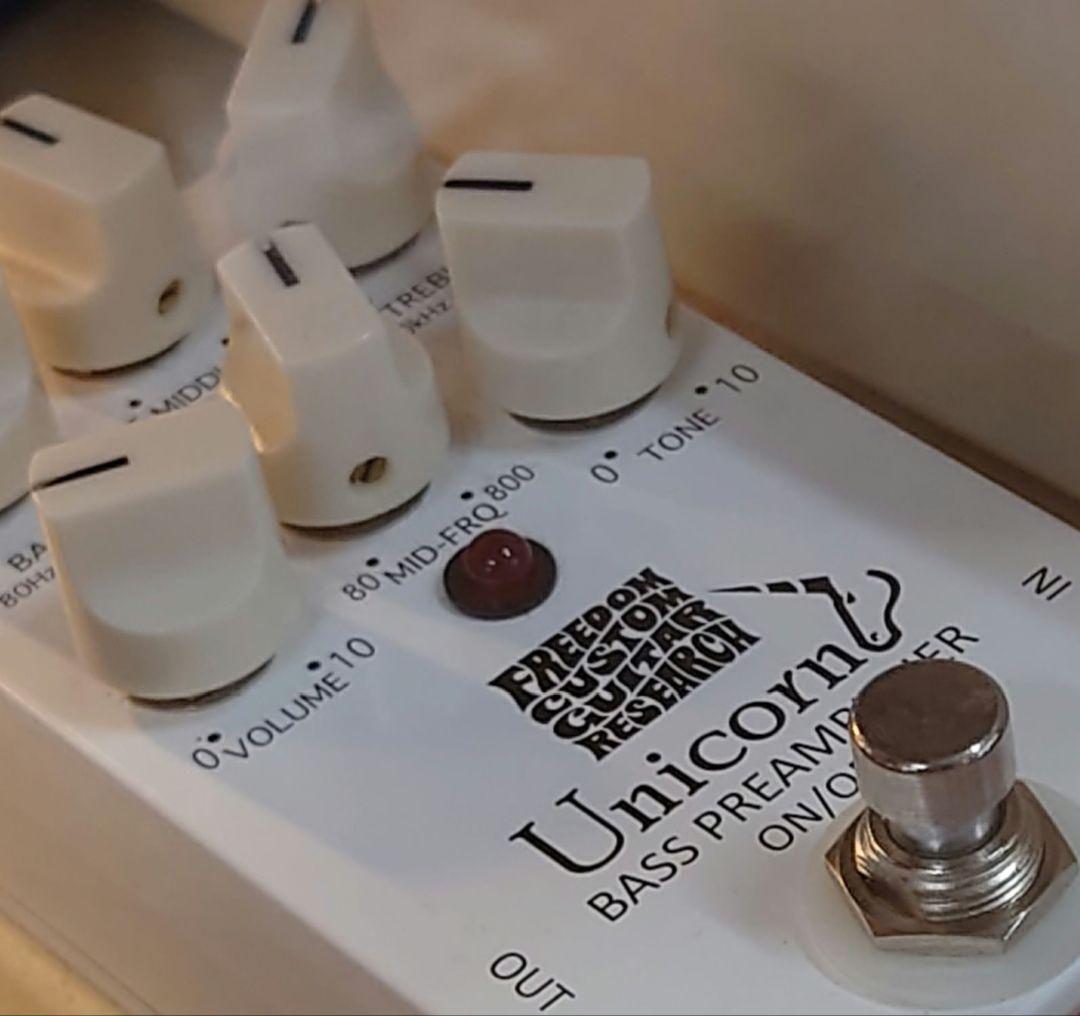 FREEDOM　CUSTOM　GUITAR　RESEARCH SP-BP-02