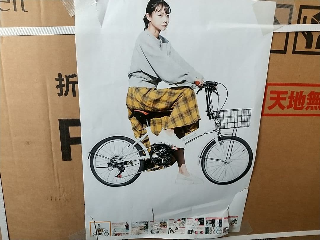 RaQcy 折りたたみ自転車 マットホワイト