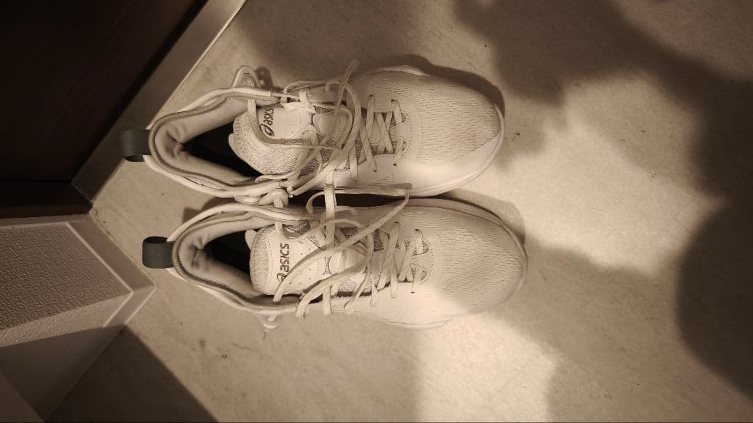 シューズ(男性用) ASICS Nova Surge 2 Low