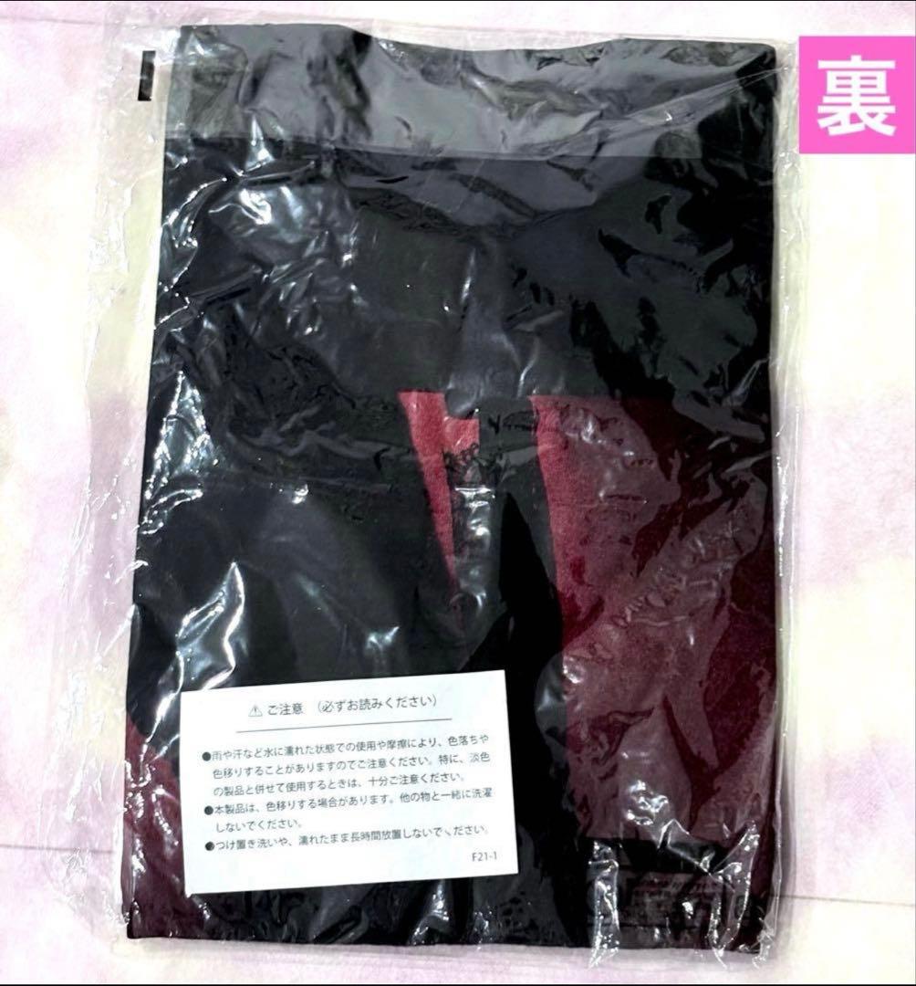 櫻井敦司 異空 2023 PHOTO Tシャツレッド BUCK-TICK