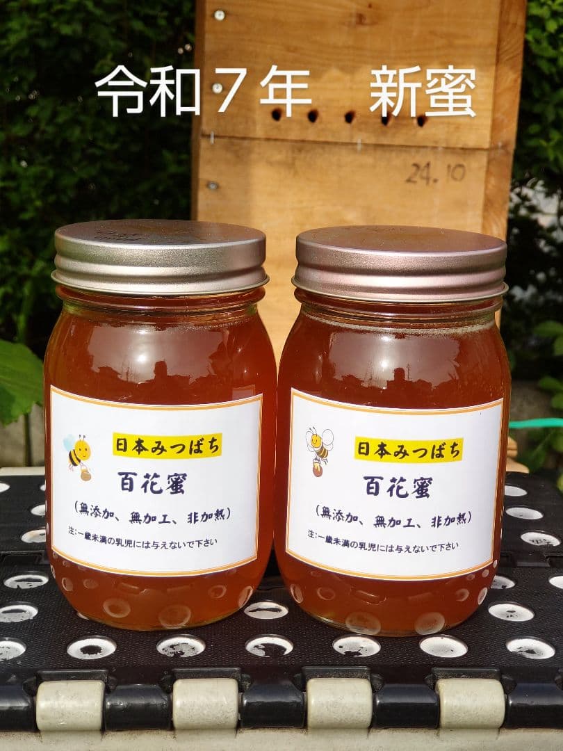 「だいねいちゃん専用」令和７年新蜜　日本みつばちの百花蜜（１年物）550ｇ✕4本