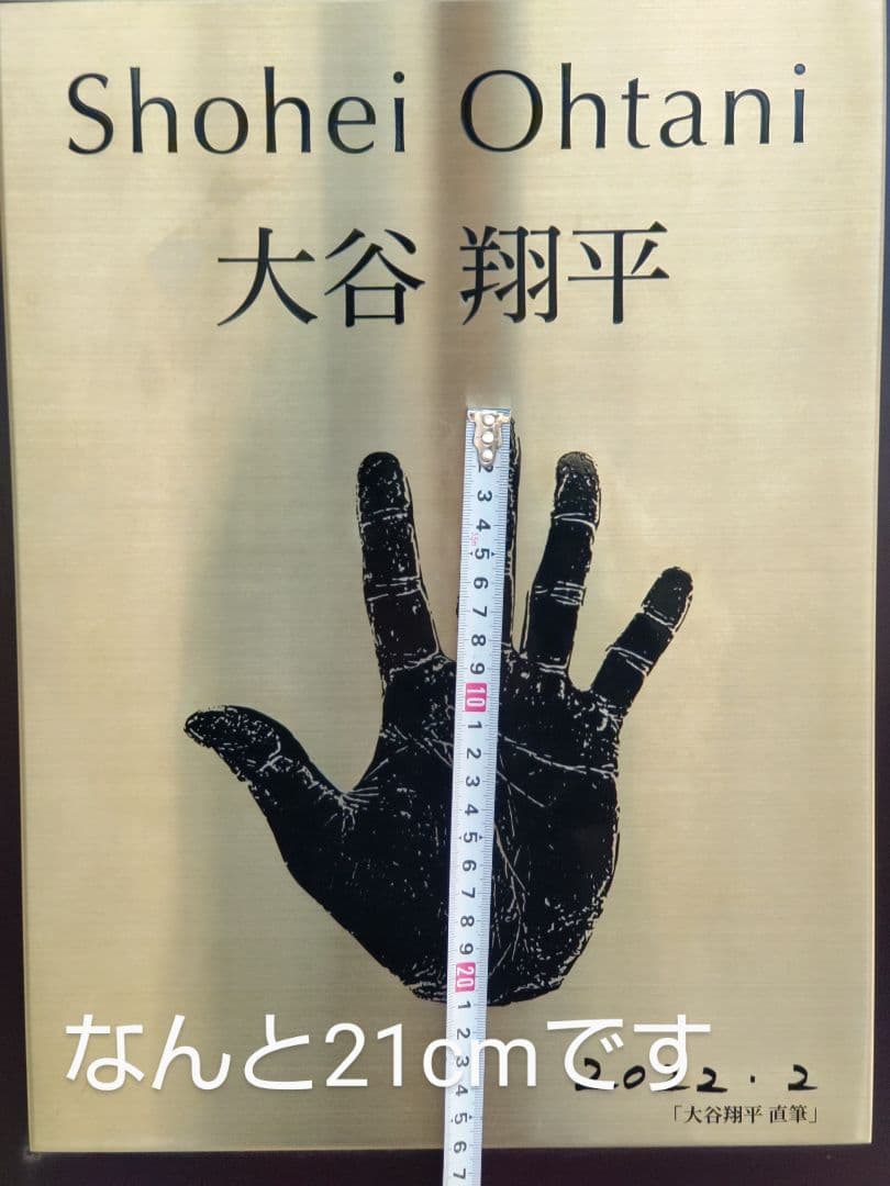 「だいねいちゃん専用」令和７年新蜜　日本みつばちの百花蜜（１年物）550ｇ✕4本